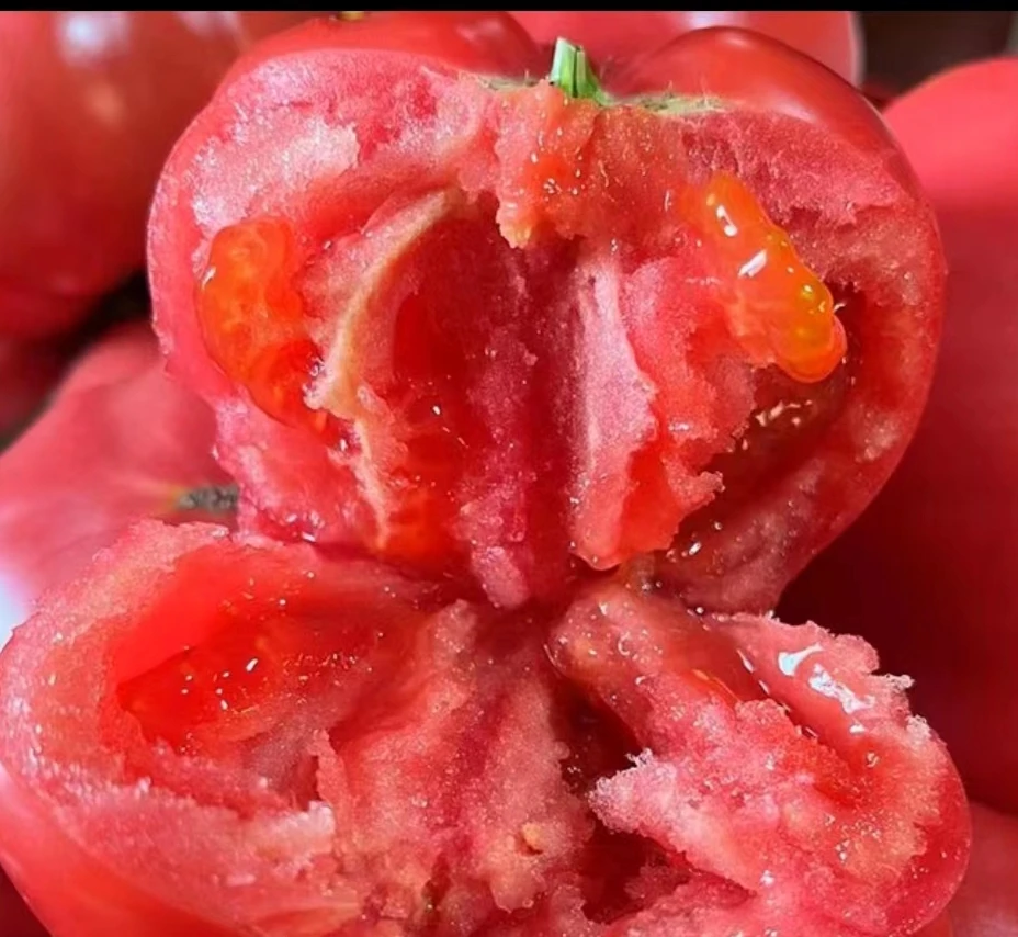 河南自家种值自然成熟沙瓤西红柿3斤5斤装包邮