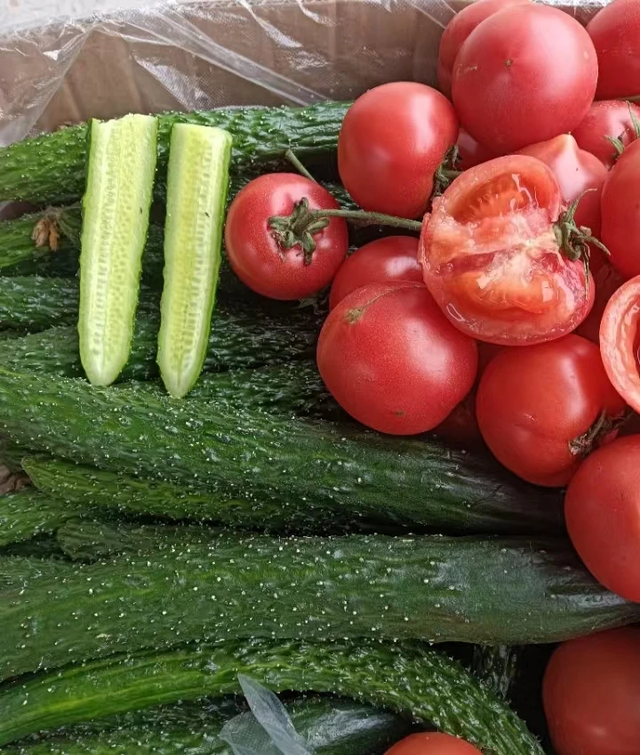 河南自家种植青瓤黄瓜沙瓤西红柿组合装5斤装包邮