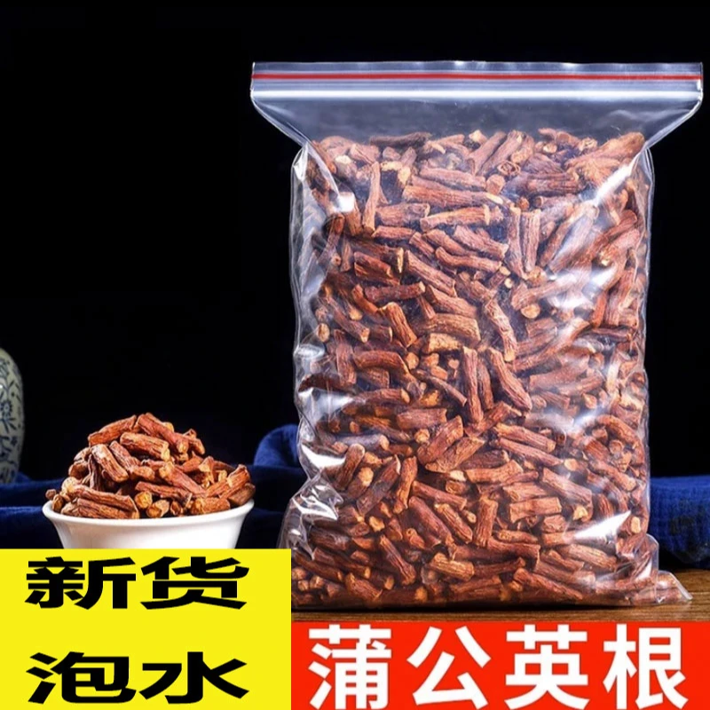 蒲公英根250克500克干货蒲公英茶泡水泡茶