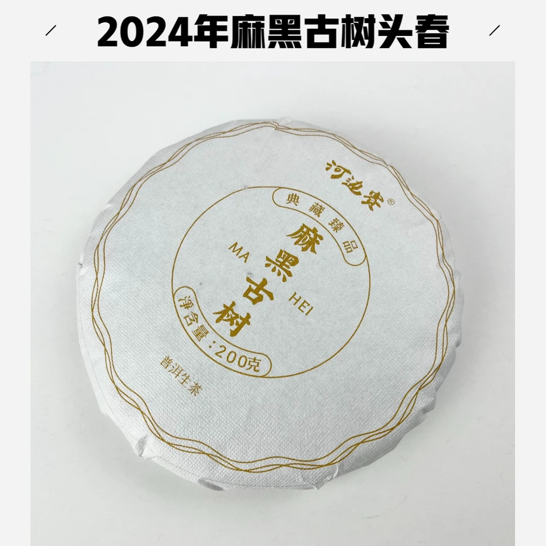 【麻黑古树】头春2024年易武普洱生茶花香手工长期直供制茶试喝醇厚