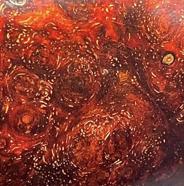 印度小叶紫檀檀香紫檀原材料