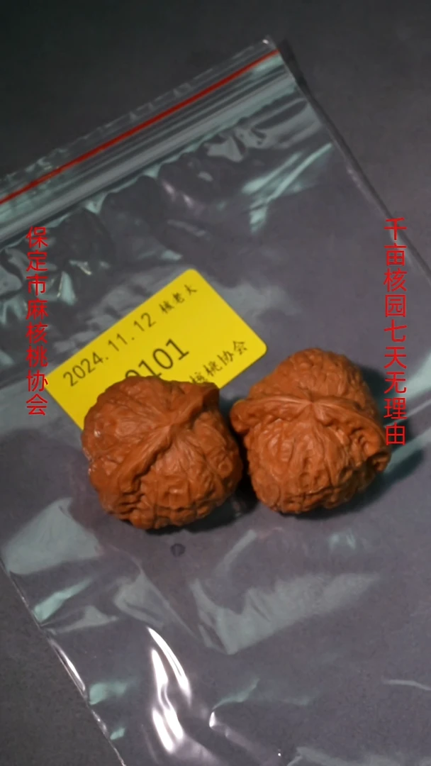 【闪购商品】文玩核桃把件40南瓜墩