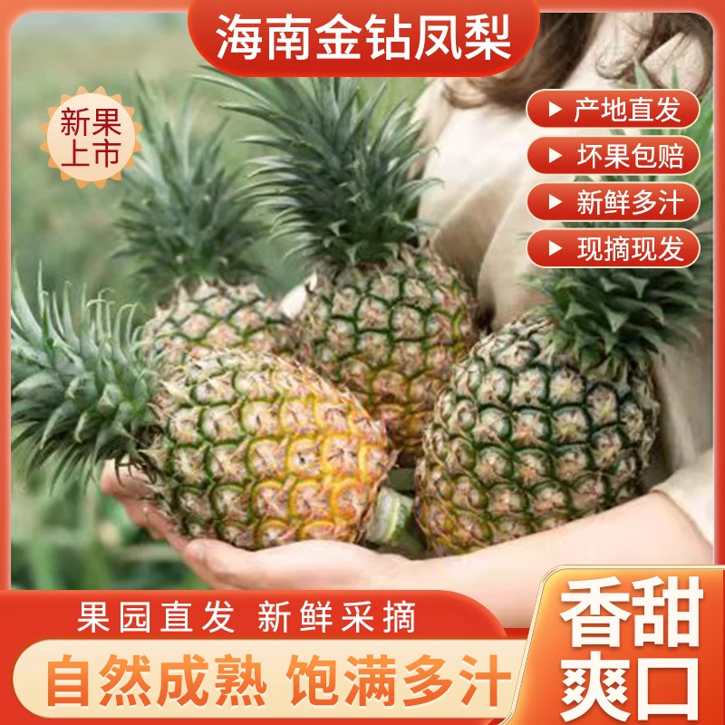 海南金钻凤梨装 4.5-5斤 酸甜少渣不用泡盐水现摘新鲜水果