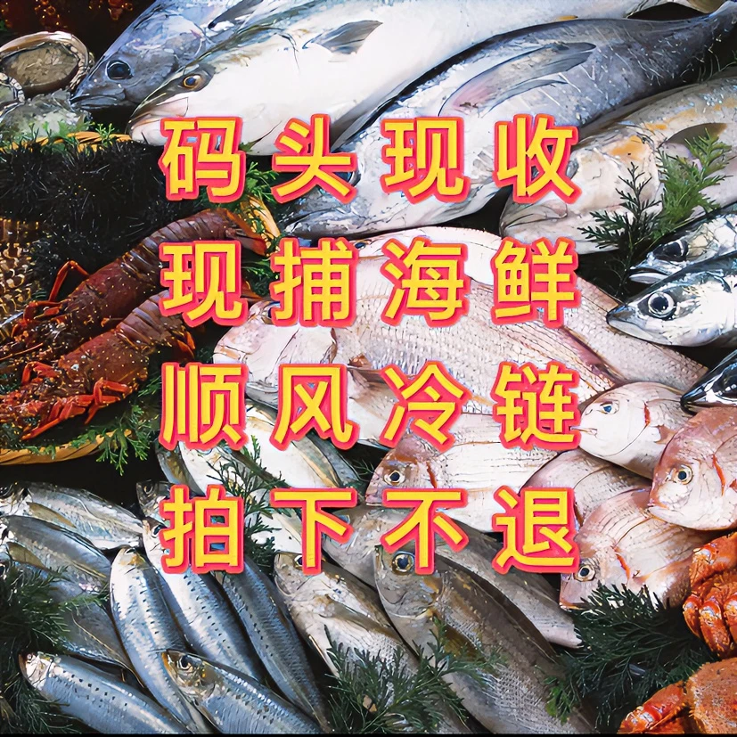 （备用）码头现场代买鱼虾蟹 （实物以直播间讲解为主）3-10斤套餐