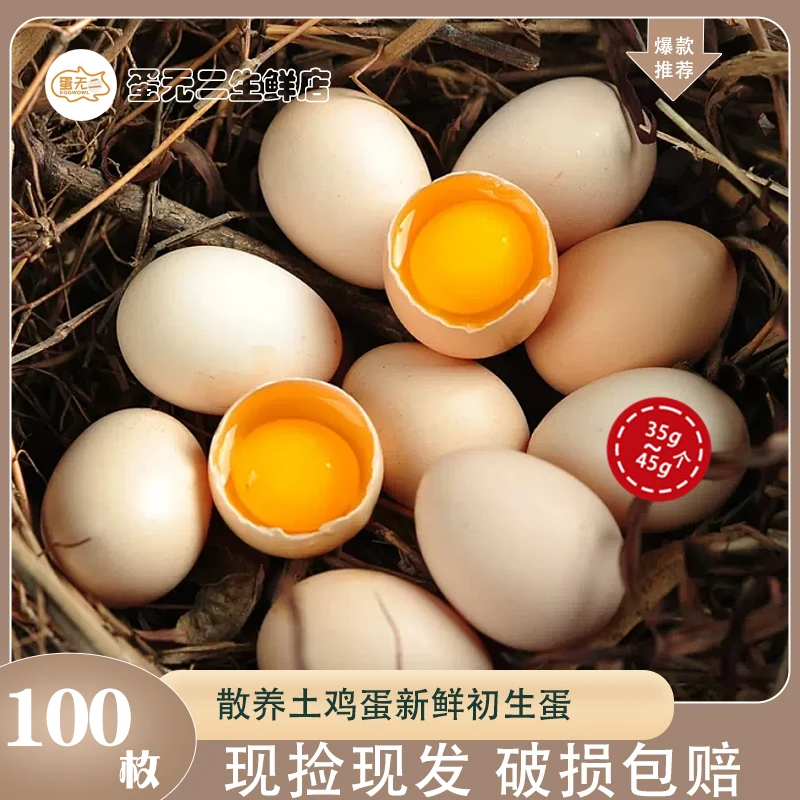 农家土鸡蛋好吃散养土鸡蛋普通初生蛋农场当日发100枚介意小勿拍