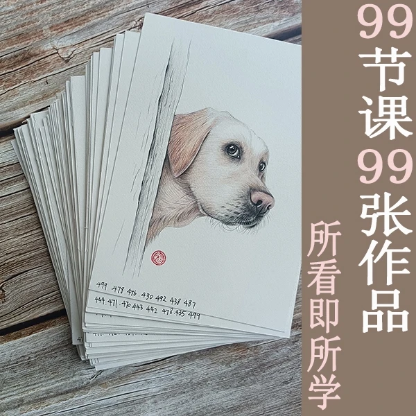 卡卡老师彩铅入门精品课