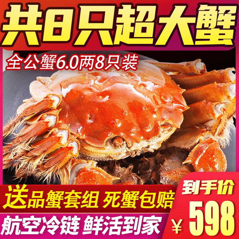 【活蟹】全公6.0两【特大爆膏】【巨无霸】8只 特大精品湖中醉大闸蟹T8