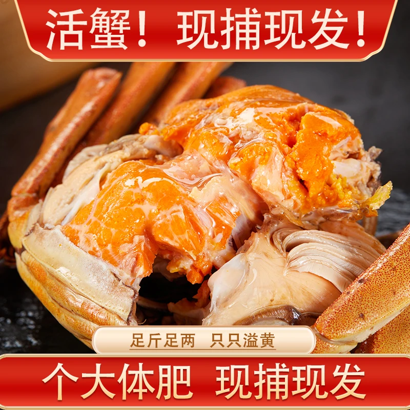 【活蟹】全公6.0两【爆膏爆黄】【巨无霸】6只 精品湖中醉大闸蟹T6