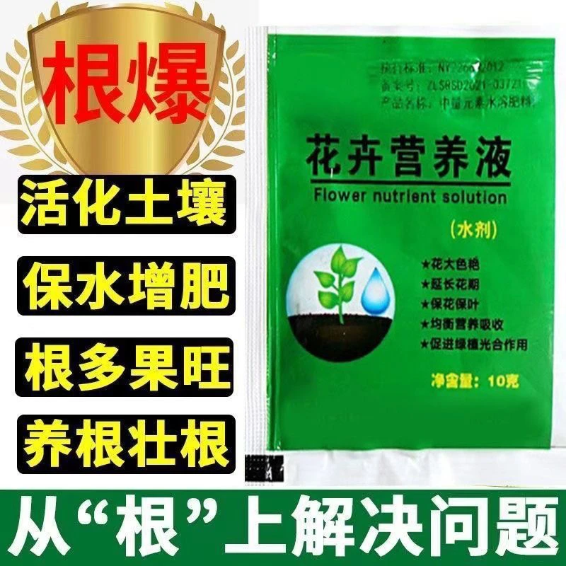 富贵竹营养液1包