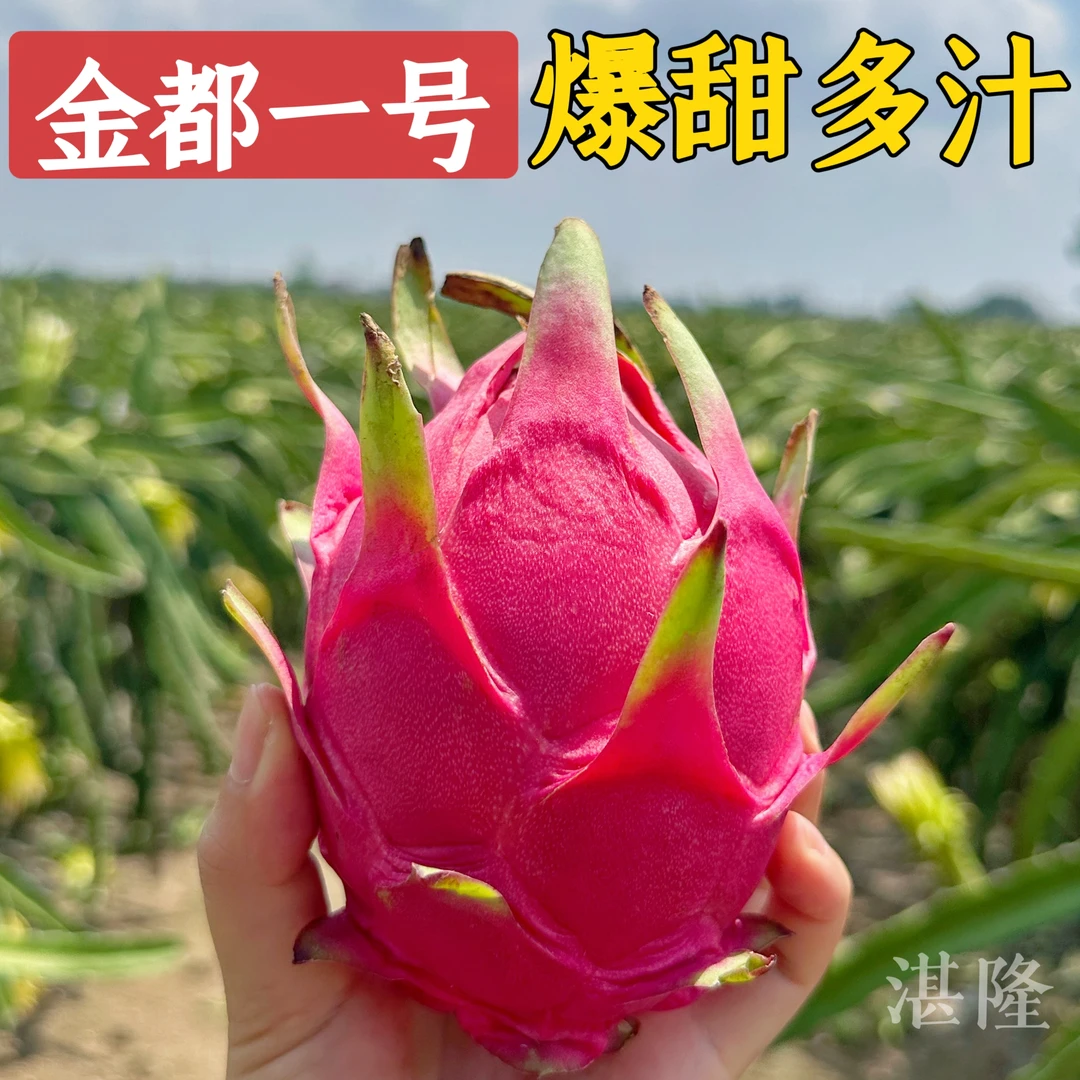 【福利放送】广西金都一号好吃红心火龙果新鲜3斤大果坏果包赔