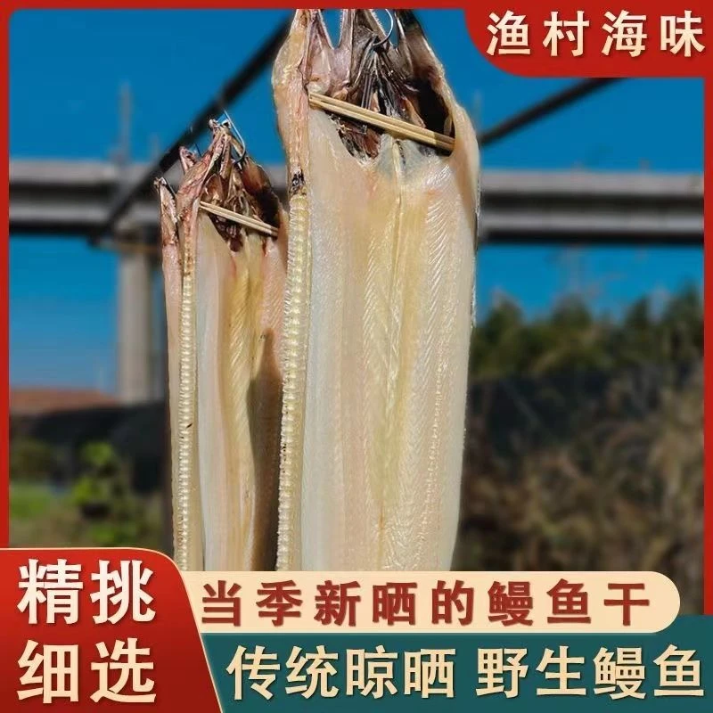 新晒鳗鱼干淡晒鳗鲞海鲜干货鱼干5成干曼淡干鱼鲞去头鳗鱼整条煎