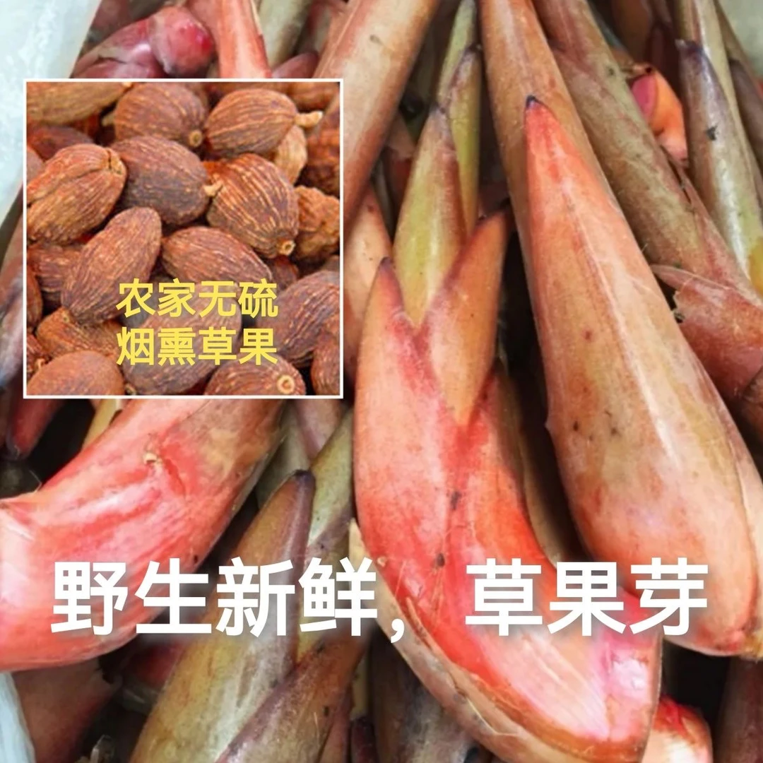 云南特产新鲜草果芽应季时鲜蔬菜下饭菜开胃菜