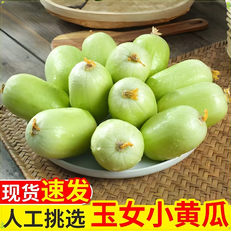 新鲜玉女黄瓜水果黄瓜生吃脆嫩爽口拇指黄瓜旱白玉青瓜蔬菜水果