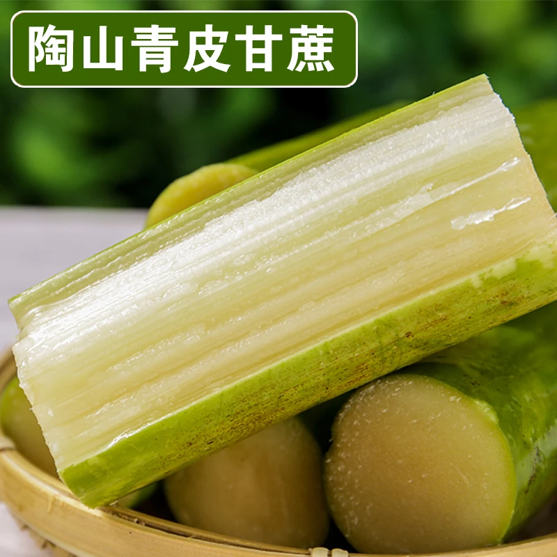 果肉装3-5斤 陶山甘蔗 懒人甘蔗 青绿皮手撕甘蔗当季孕妇水果