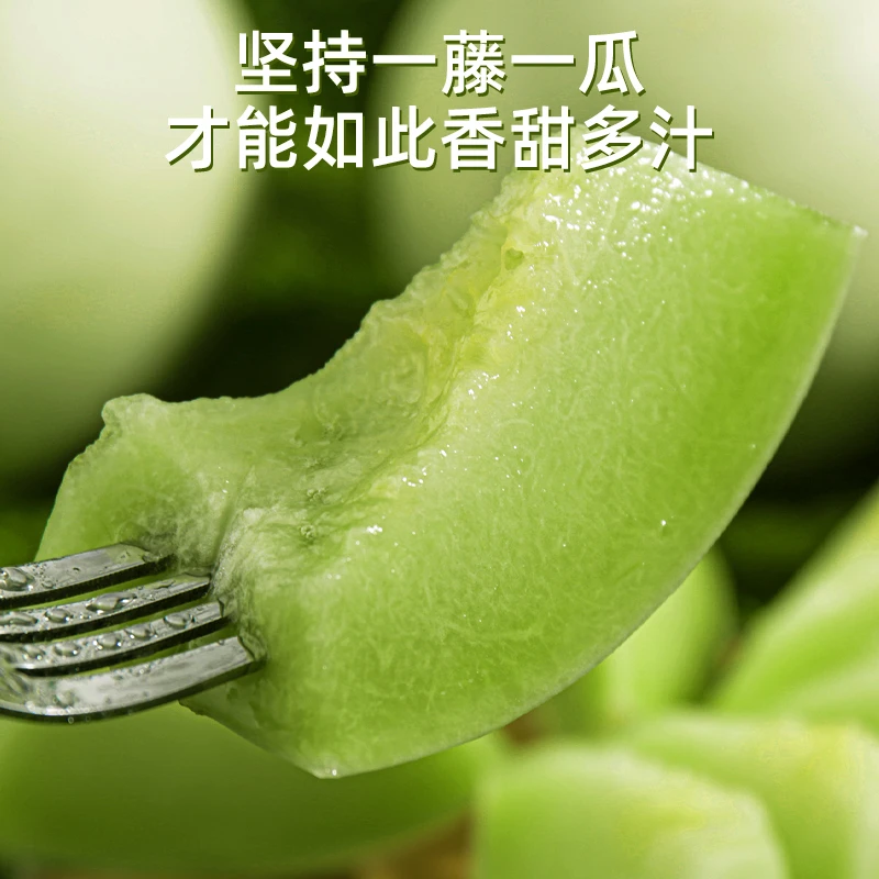 正宗宁夏头茬冰淇淋玉菇甜瓜软糯香甜应季新鲜水果果园直发5-8斤