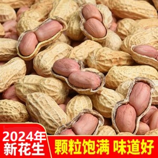 净重发货带壳(生)干花生河南原味花生可生吃可种新鲜营养大颗粒