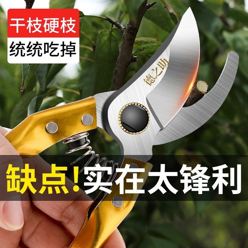 果枝树枝剪加强锋利花剪修枝剪果树修枝剪家用园林园艺花园果园剪