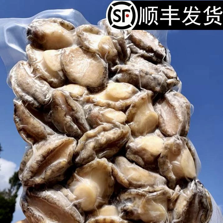 【家庭装】去壳去内脏熟冻精品鲍鱼肉佛跳墙食材烧烤餐饮自助批发