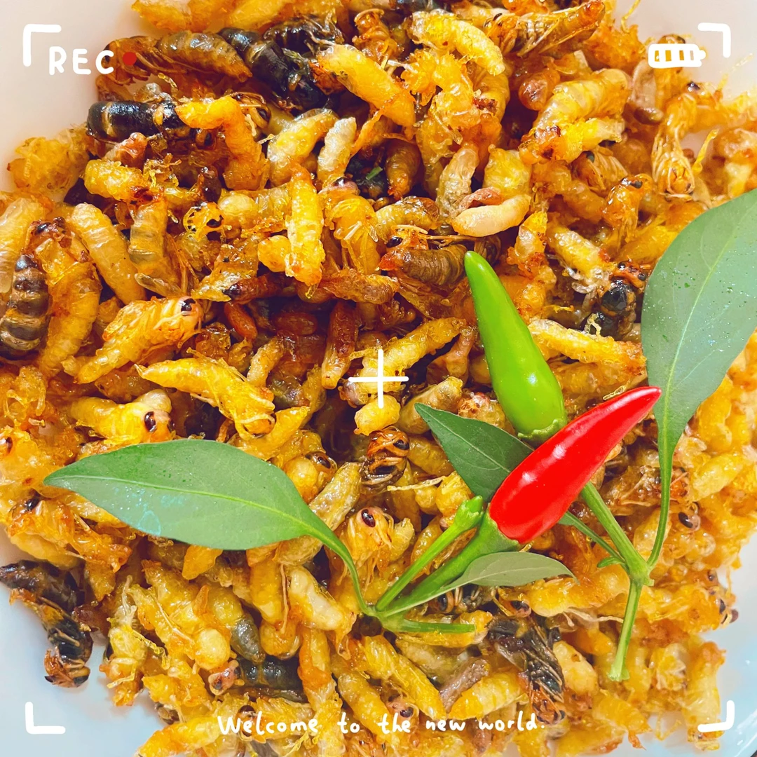 1234级统货 蜂蛹 树蜂 马蜂