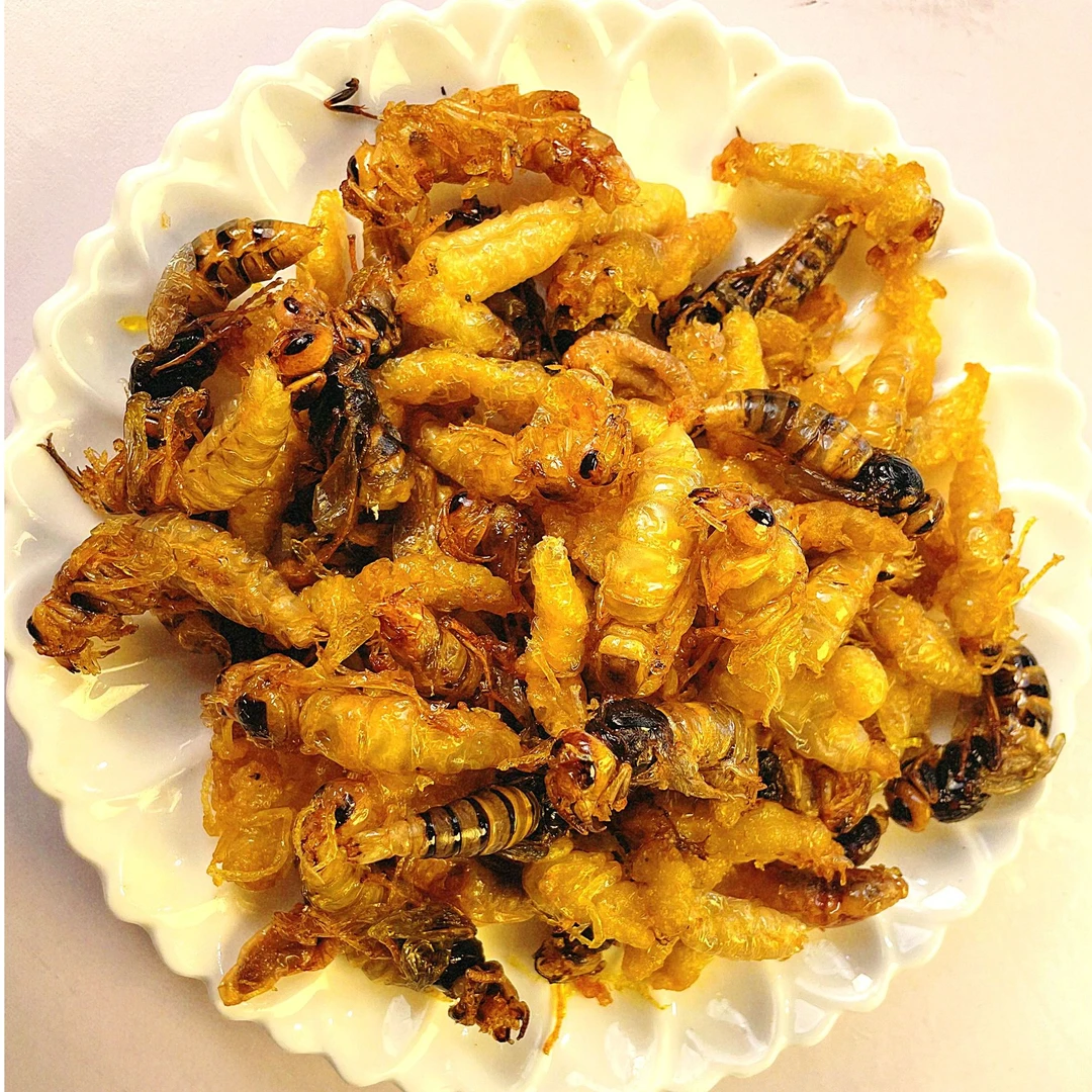 金环虎头蜂 油炸蜂蛹