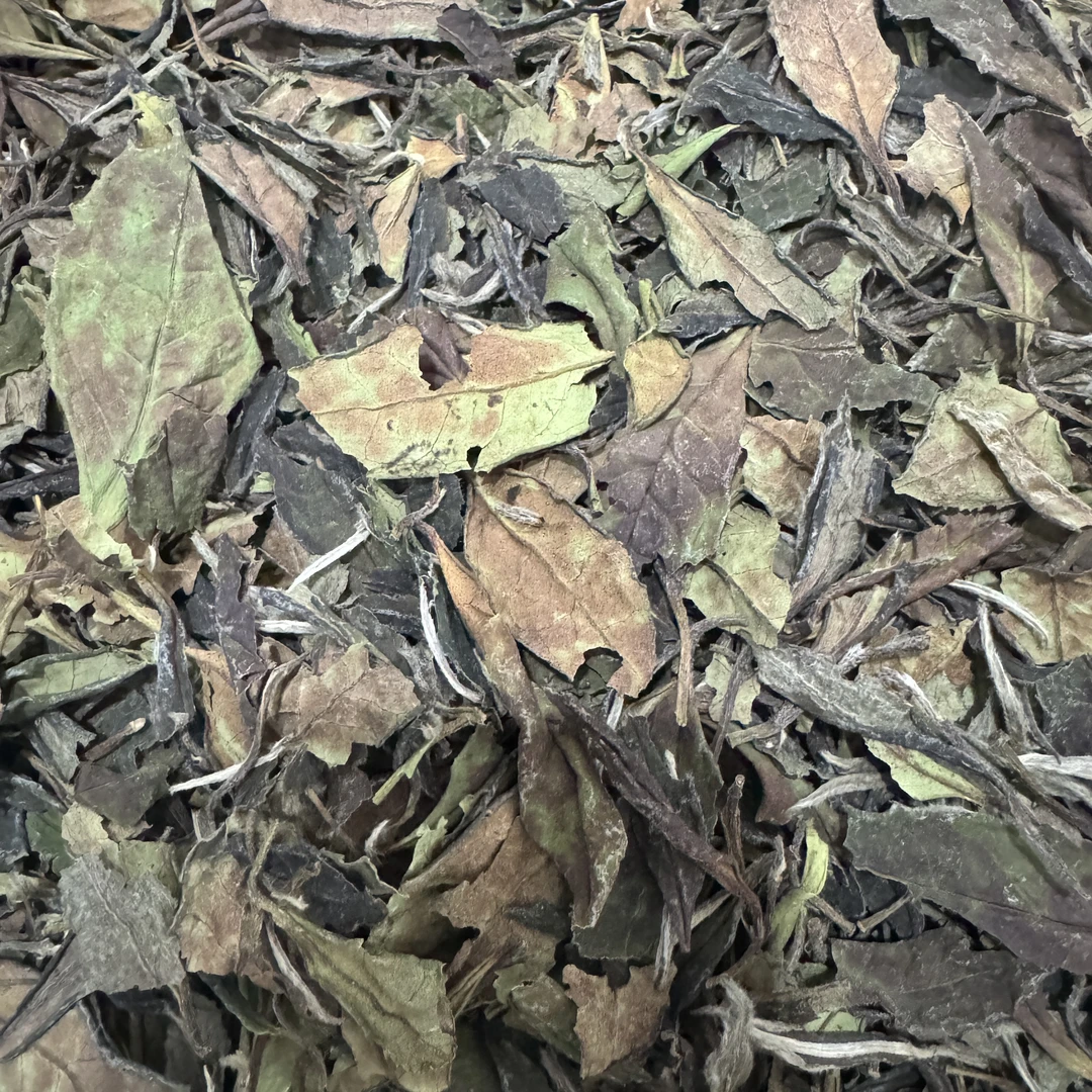 「直播专享」23太姥竹洋 福鼎白茶2023年寿眉散茶240g