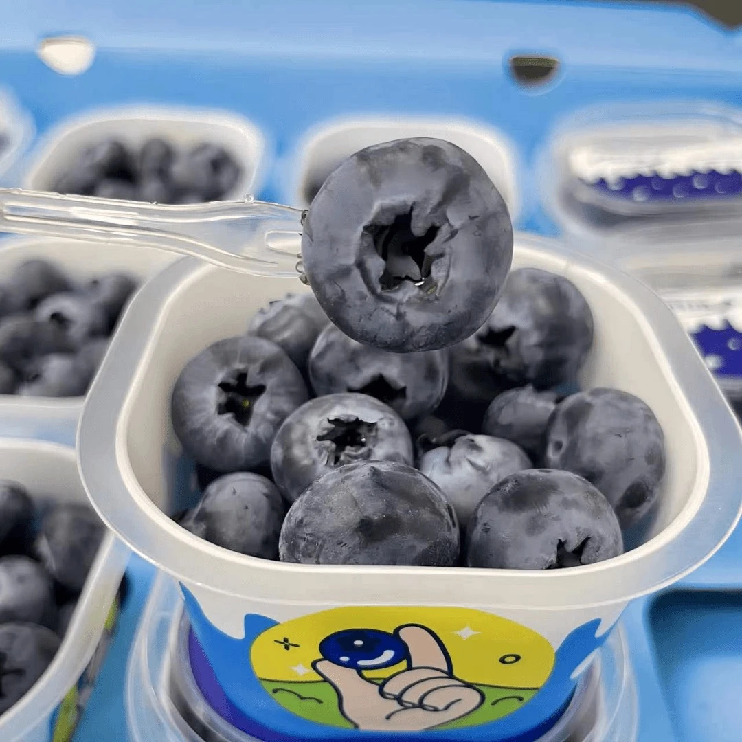 当季限量 宝宝杯蓝莓Blueberry 大果18mm+ 花香【京东】