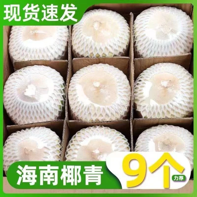 海南天然特产正宗9个装椰青新鲜椰子孕妇小孩新鲜水果现摘现发