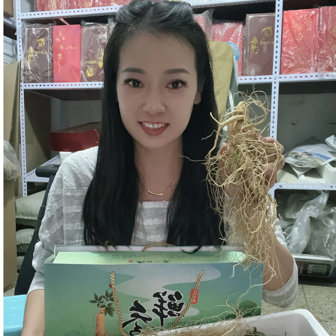 【顺丰包邮】10支装  长白山鲜人参 现挖现卖 15g左右/支