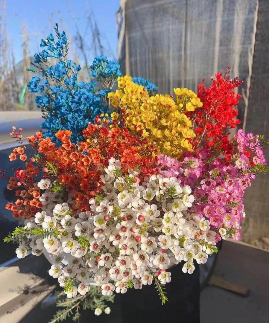 【源头优选】腊梅 任意两单花材升级顺丰冷链或德邦快递