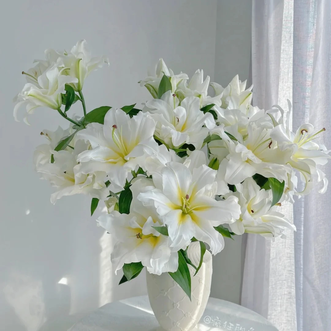 【源头优选】暴风雪重瓣百合任意两单升级顺丰冷链或德邦快递