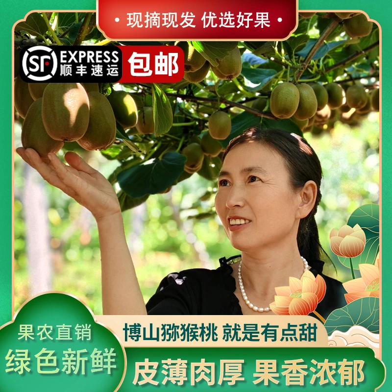 彩箱装/顺丰包邮/新鲜上市现摘博山正宗碧玉猕猴桃水果整箱奇异果
