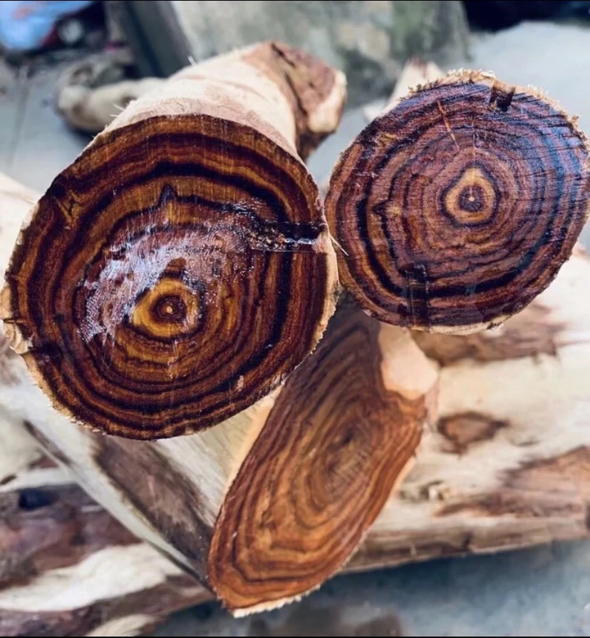 精品海黄改价付款