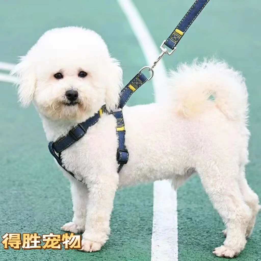 狗狗牵引绳大型中型小型犬狗链子狗项圈泰迪金毛遛狗绳子宠物用品