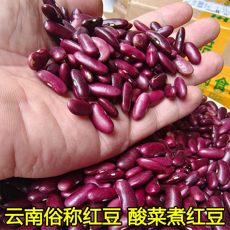 云南农家自种红豆高压锅煮红豆煮酸菜红豆云南特产红腰豆俗称红豆