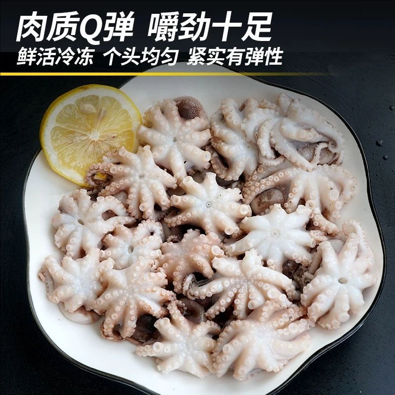 海陵岛新鲜八爪鱼