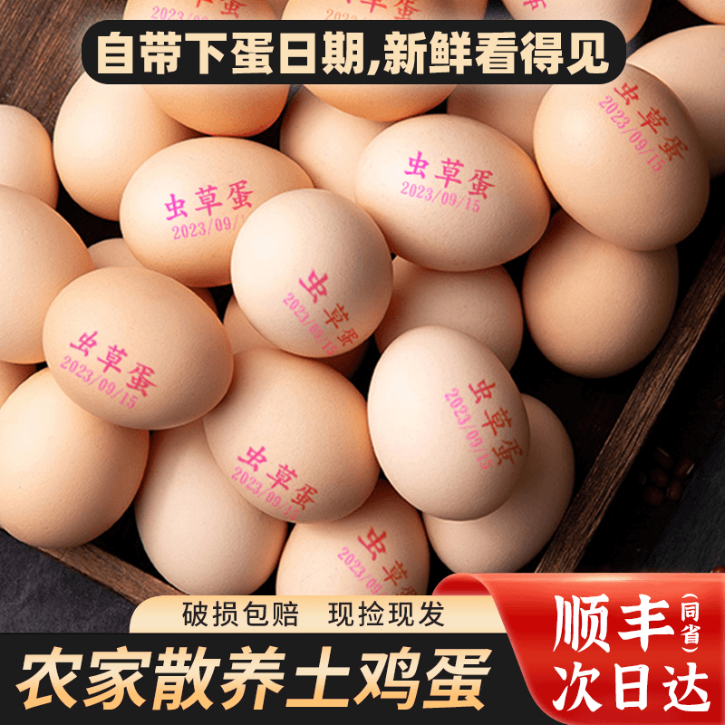 【陈晓晓专属】新鲜30枚农家高山散养虫草土鸡蛋笨鸡蛋约50-55g/个