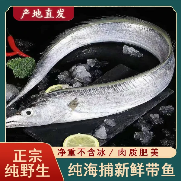 【渔夫子】10条新鲜现捕带鱼 鲜活速冻 美味海鲜 4-6两/条