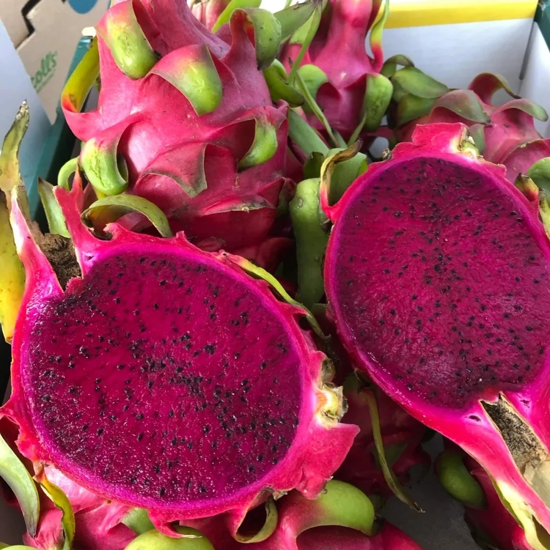 （整果）越南红心火龙果一个一斤以上