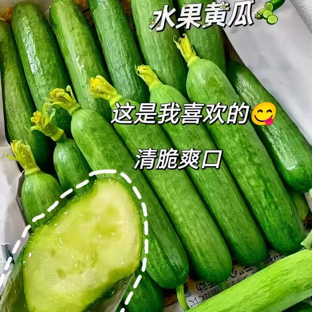 清爽可口水果黄瓜一斤