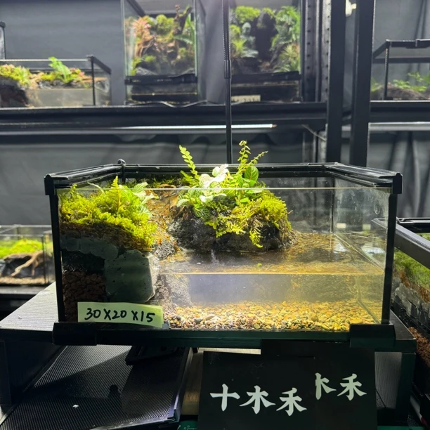 创意生态缸溪流乌龟缸