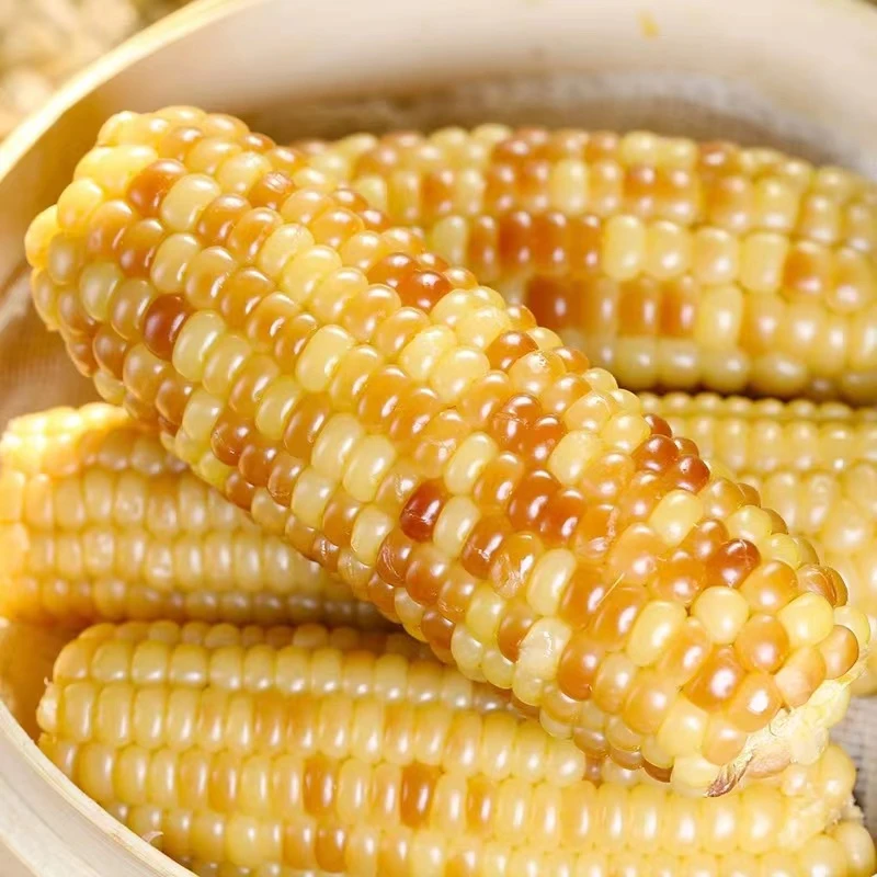 云南西双版纳小花糯小玉米真空袋锁鲜加热即食早餐代餐香软糯低脂