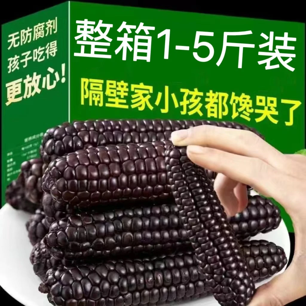 云南黑玉米紫糯拇指小玉米零食香糯即食代餐非转基因真空装111111