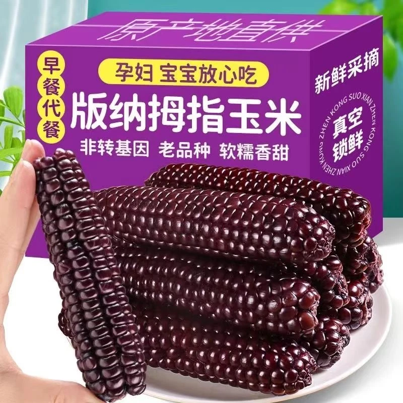 云南黑玉米紫糯拇指小玉米清甜香糯即食代餐紫色拇指真空包装玉米