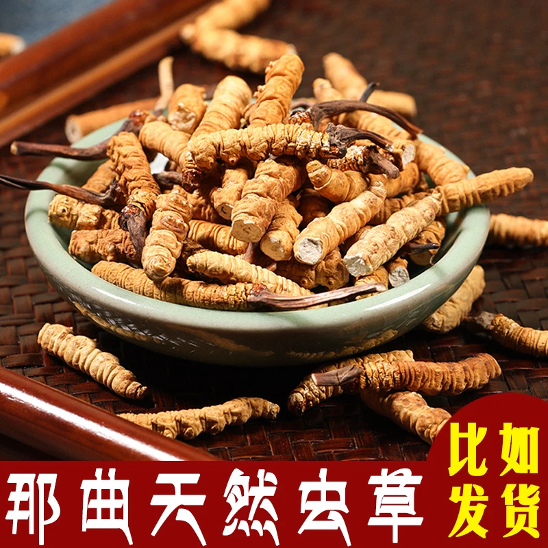 专属那曲冬虫夏草 小断草 2023头期天然雪山断虫草滋补泡酒 20g