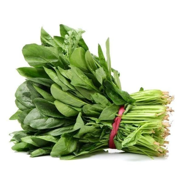 鲜·菠菜苗约500g