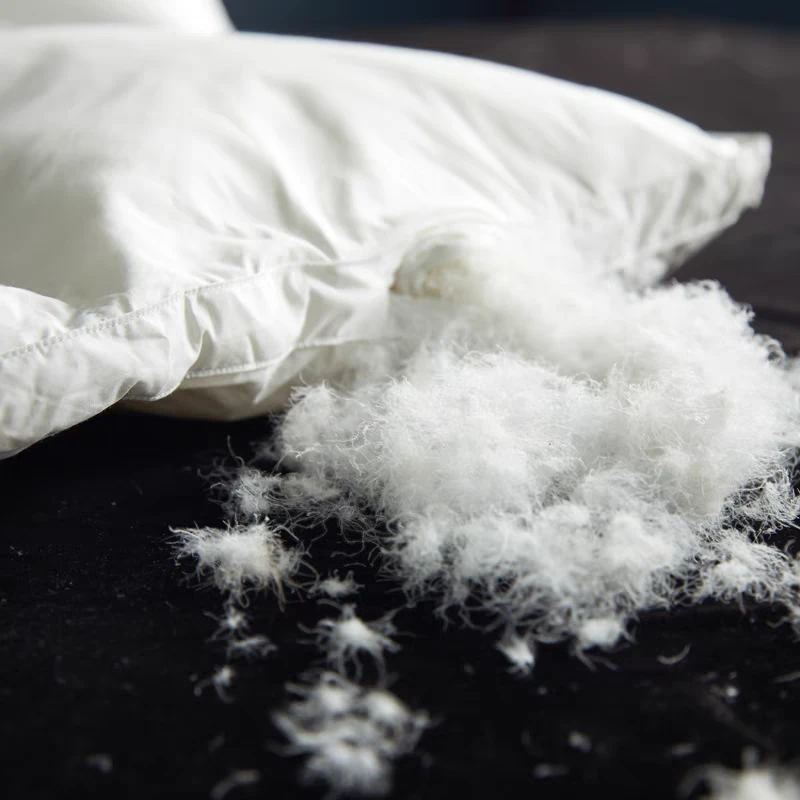 （羽绒被现充） 全棉羽绒被95羽绒被子冬被春秋被加厚被芯