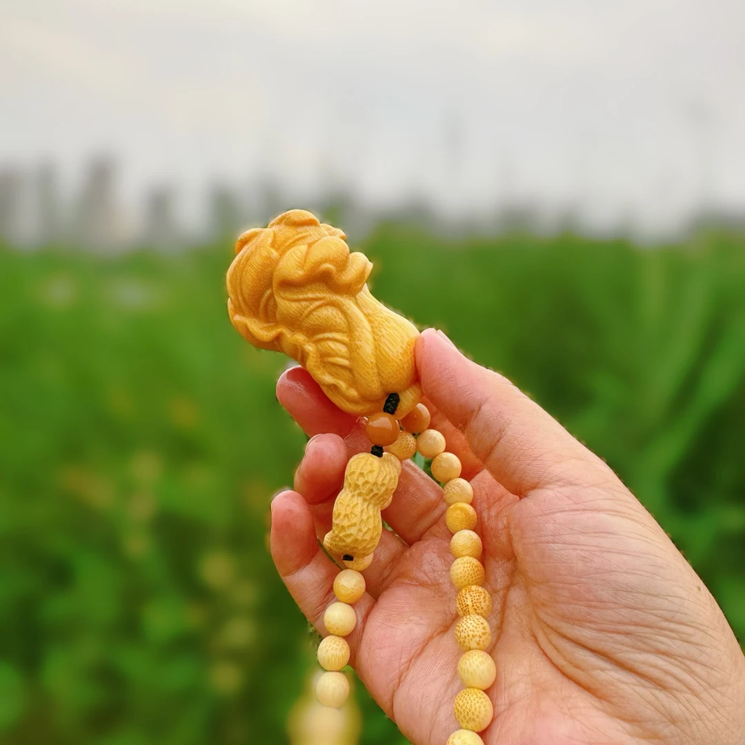 龙血金丝竹～白菜
