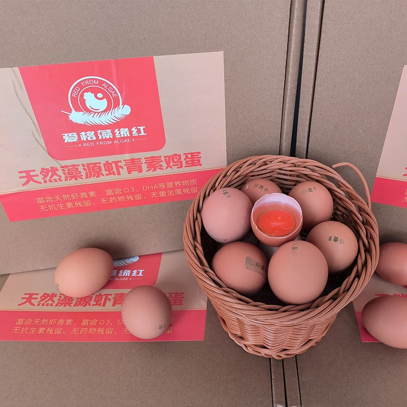 【武威特产】爱格藻缘红牌虾青素鸡蛋 55-60g
