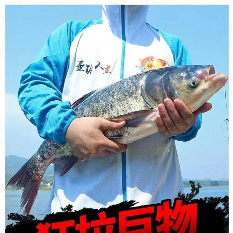 超轻19调6H 碳素碳布台钓竿 鱼竿 回鱼鲤鱼杆渔具 调性滩钓钓重