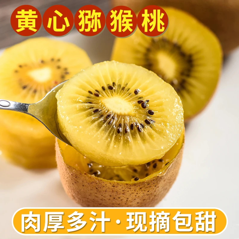 正宗西峡果香黄金奇异果，营养猕猴桃（80-160g)软糯香甜，产地直发